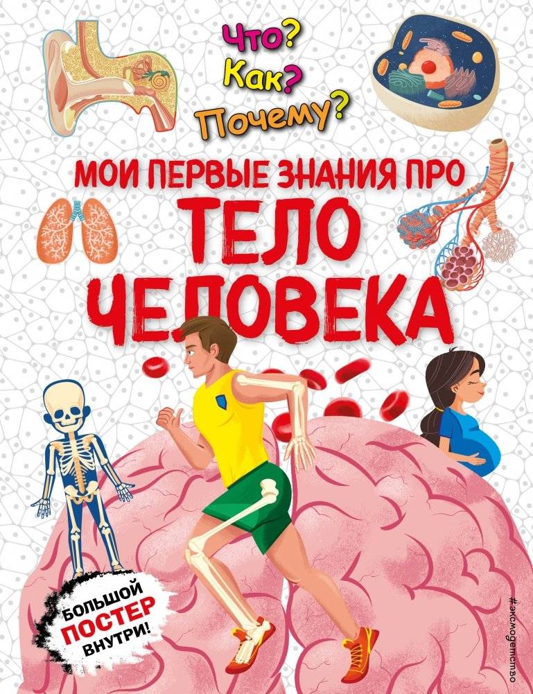 Что? Как? Почему? Мои первые знания про ТЕЛО ЧЕЛОВЕКА (с постером) | What? How? Why? My First Knowledge About the Human Body (with poster)
