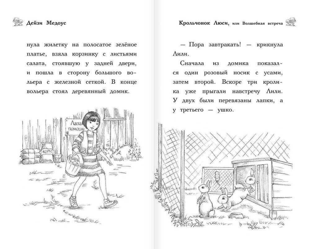 Крольчонок Люси, или Волшебная встреча фото книги 6