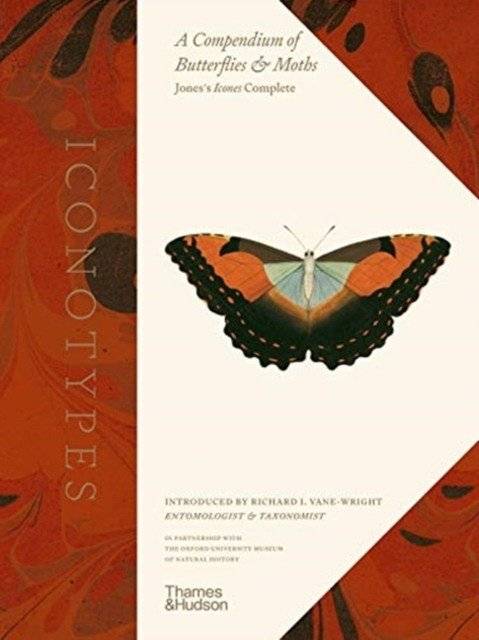 Iconotypes | Iconotypes