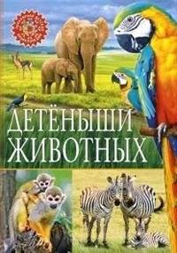 Детеныши животных | Animal Babies