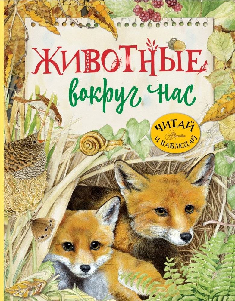 Животные вокруг нас | Animals Around Us