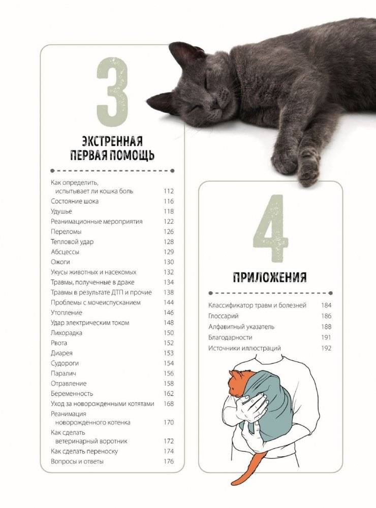 Первая помощь кошкам. Осмотр, действия в экстренных ситуациях, аптечка первой помощи, здоровье, корм фото книги 3