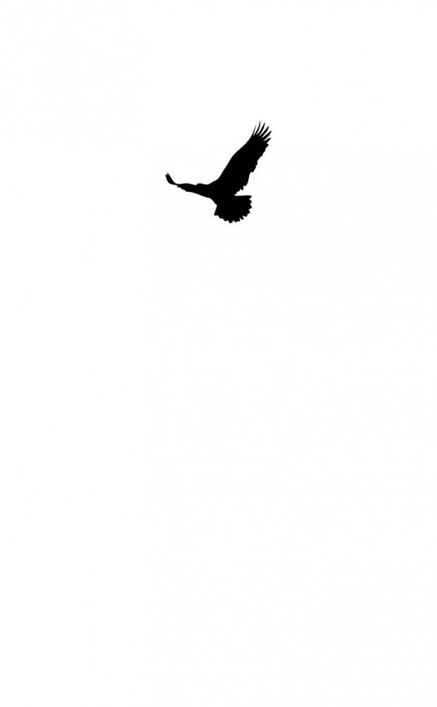 Карман ворон фото книги 2