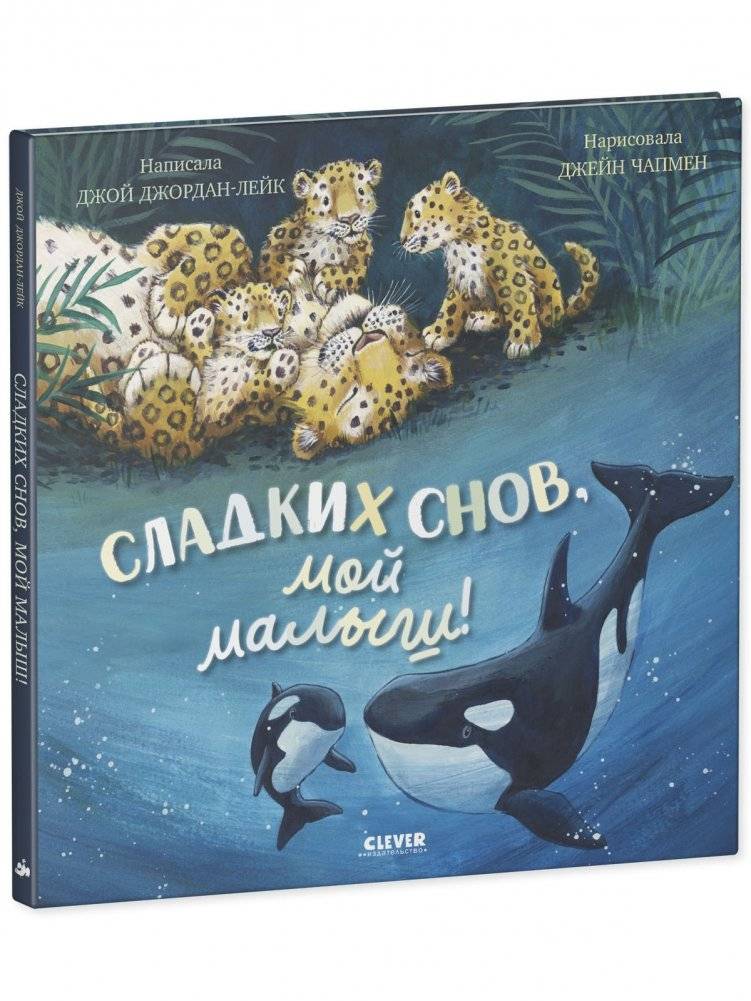 Книжки-картинки. Сладких снов, мой малыш! фото книги 2