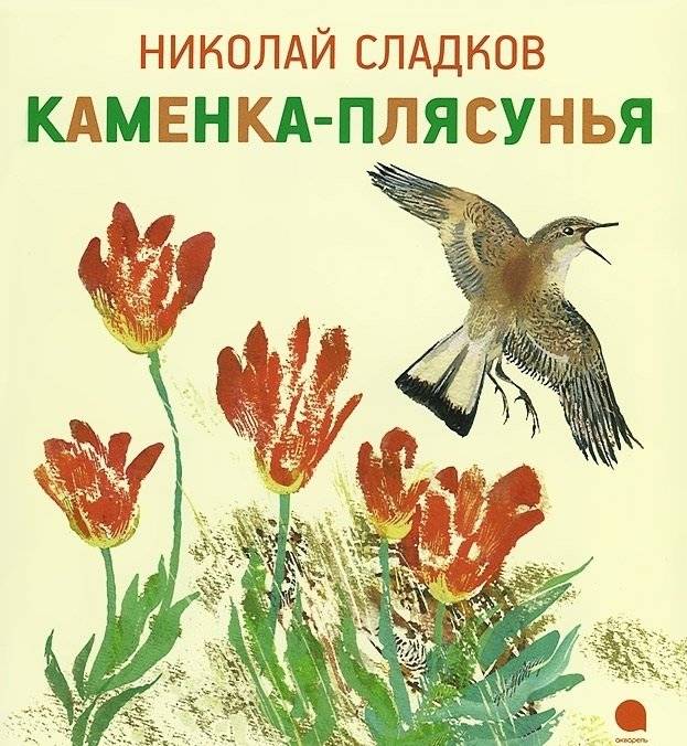 Каменка-плясунья | The Dancing Wheatear