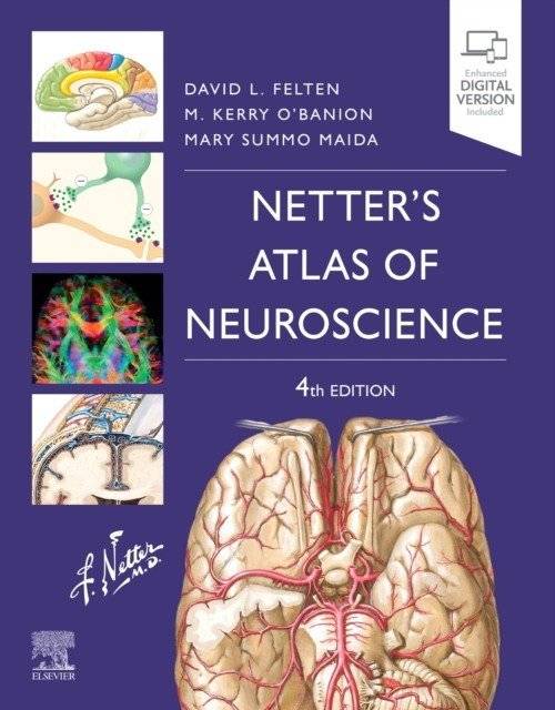 Атлас нейробиологии Неттера | Netter's Atlas of Neuroscience