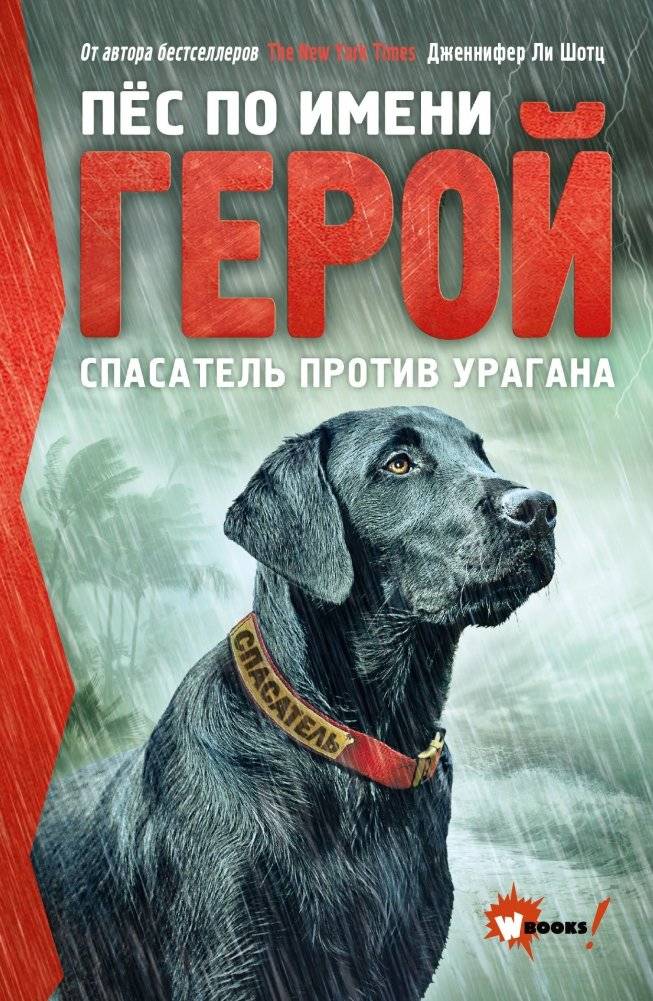 Пёс по имени Герой. Спасатель против урагана | A Hero Dog Named Hero: Rescuer Against the Hurricane