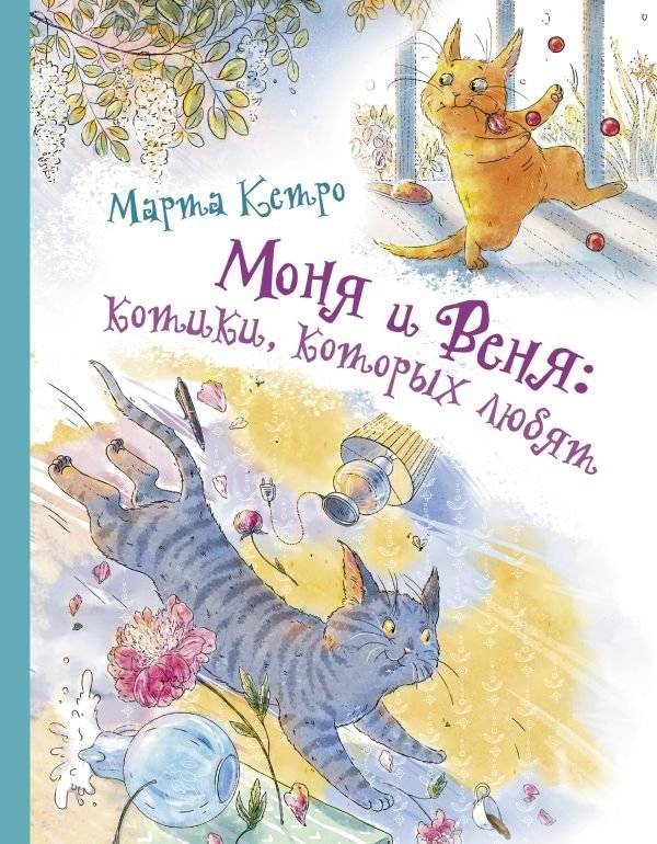 Моня и Веня: котики, которых любят | Monya and Venya: Kittens Who Are Loved
