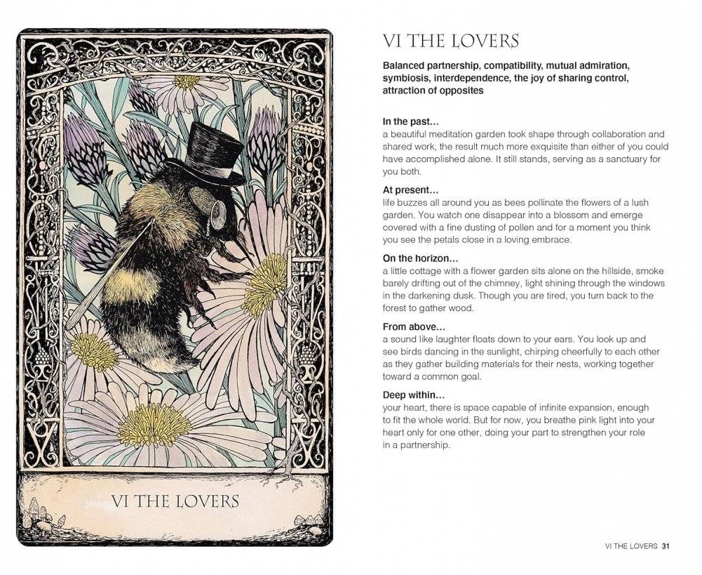 Tarot of Tales фото книги 4