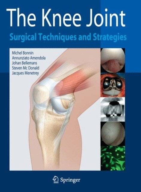 Коленный сустав | The Knee Joint