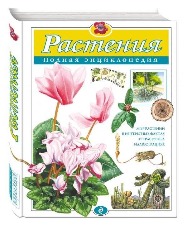 Растения: полная энциклопедия | Plants: A Complete Encyclopedia