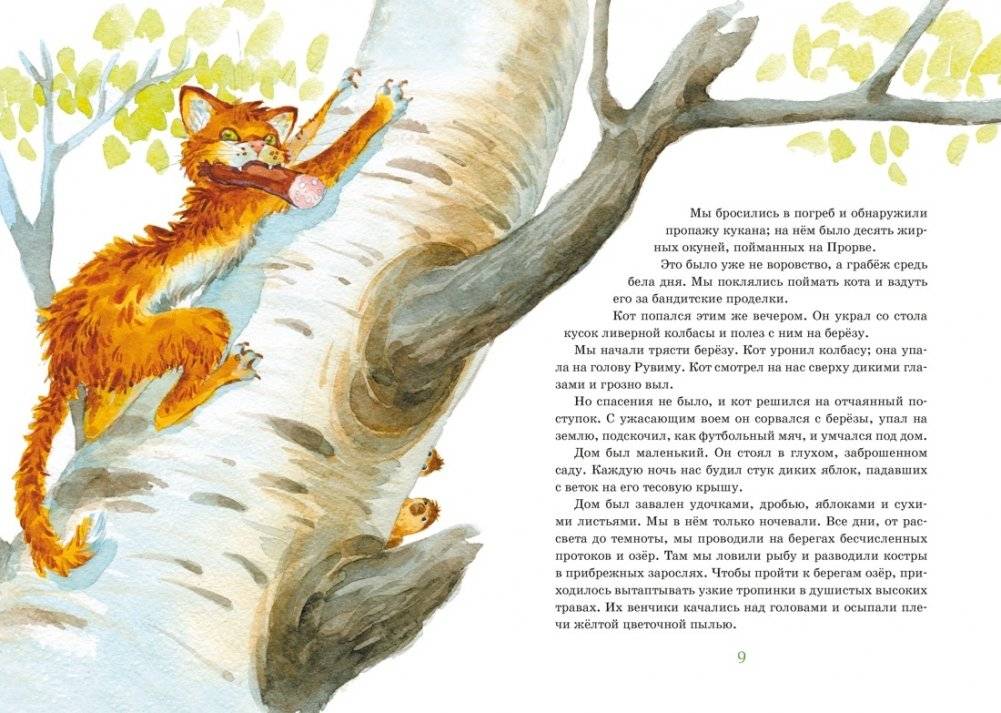 Кот-ворюга. Рассказы и сказки фото книги 5