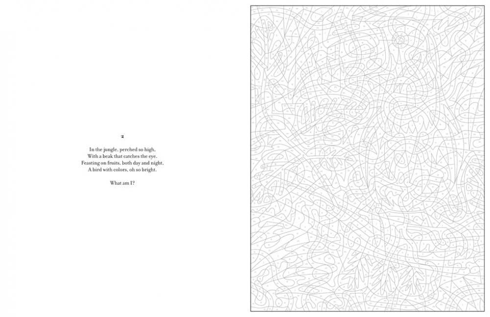 Mystery Coloring Wild Animals фото книги 5