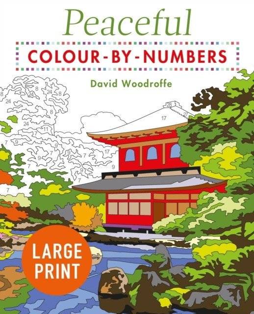 Книга для раскраски крупным шрифтом | Large print colour-by-numbers book