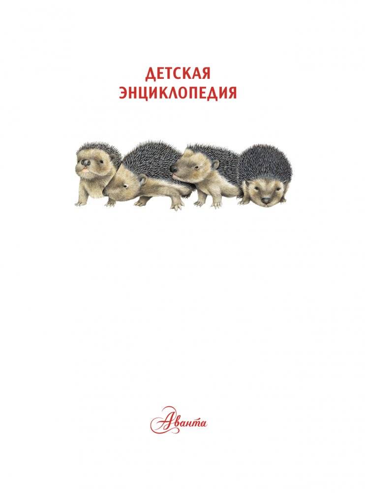 Детеныши животных фото книги 2
