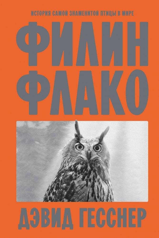 Филин Флако: История самой знаменитой птицы в мире | Flako the Owl: The Story of the World’s Most Famous Bird