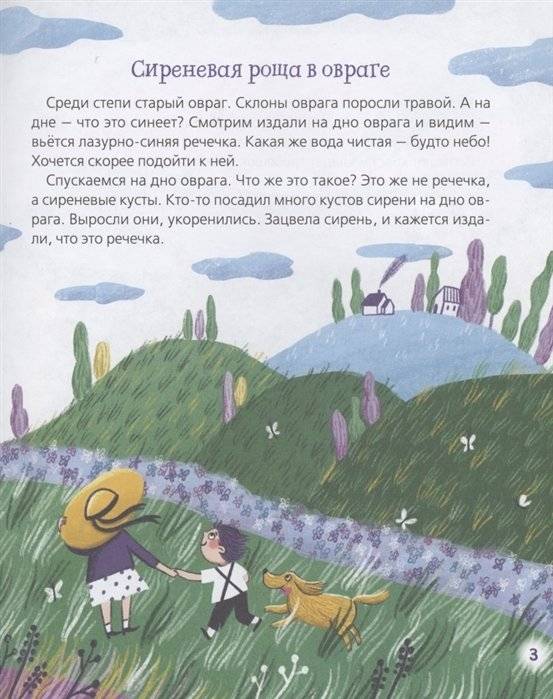 Пчелиная музыка. Рассказы для детей фото книги 4