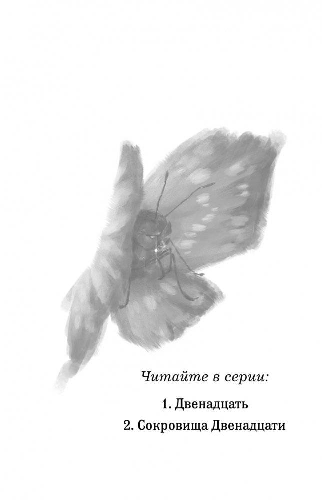 Сокровища Двенадцати (#2) фото книги 3