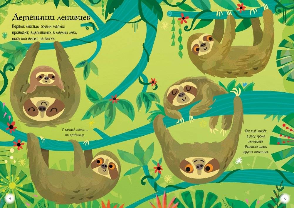 Ленивцы и их друзья фото книги 4