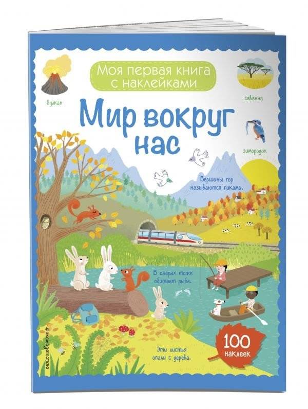 Мир вокруг нас (с наклейками) | The World Around Us (Sticker Book)