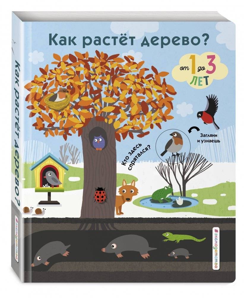 Как растет дерево? фото книги 2