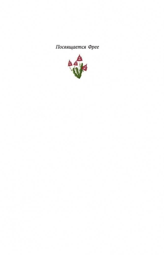 Похититель историй фото книги 6