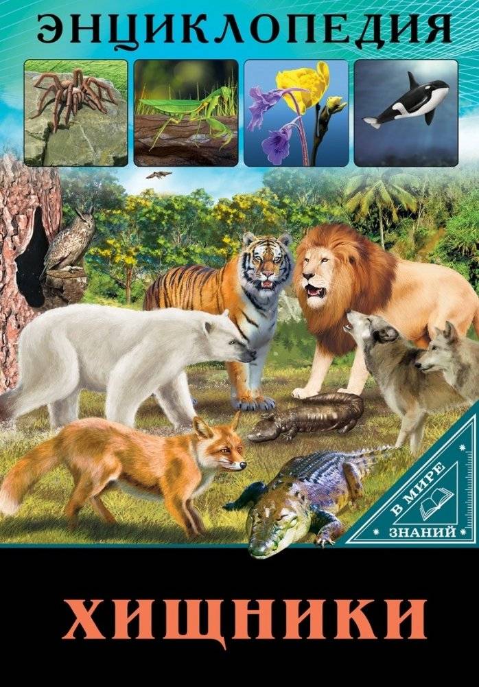 Энциклопедия. Хищники | Encyclopedia: Predators