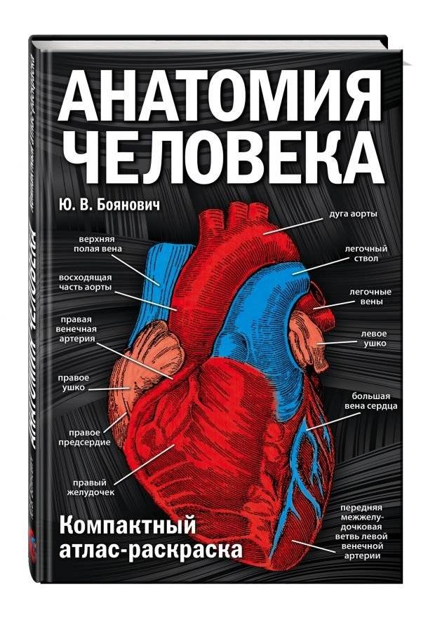 Анатомия человека. Компактный атлас-раскраска | Human Anatomy: A Compact Coloring Atlas