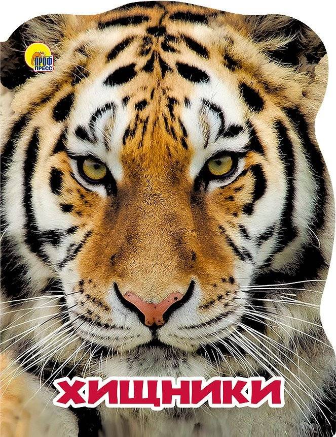 Мир животных. Хищники | World of Animals: Predators