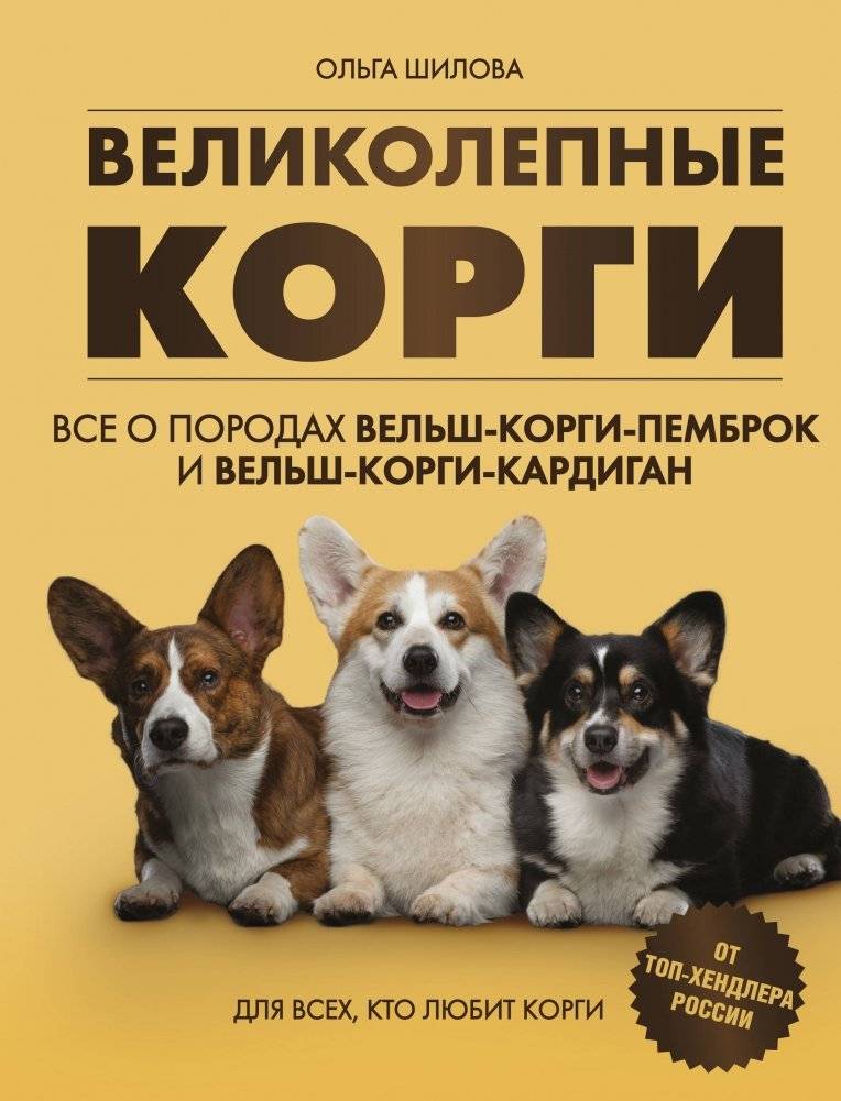 Великолепные корги: Все о вельш-корги-пемброк и вельш-корги-кардиган | Magnificent Corgis: All About Pembroke Welsh Corgi and Cardigan Welsh Corgi Breeds
