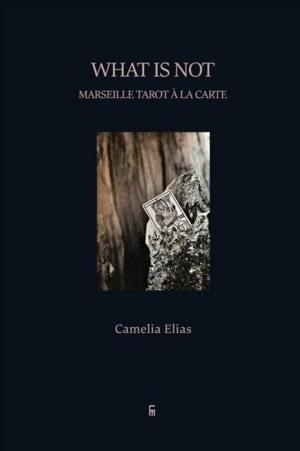 Что не так: Марсельский Тарот а ля карт | What is not: Marseille Tarot à la carte