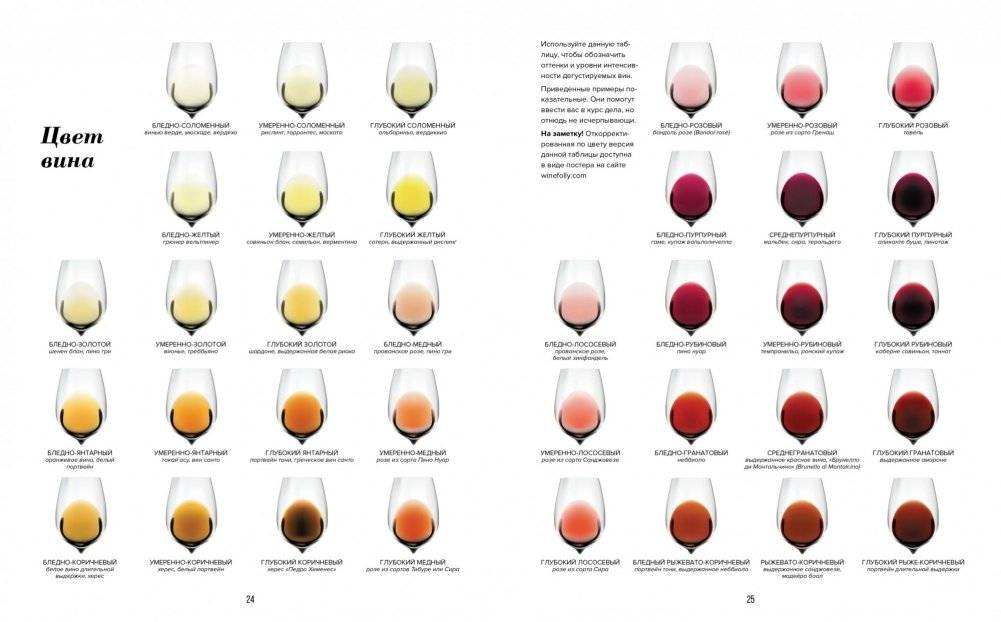 Wine Folly. Издание Магнум, детализированное фото книги 3