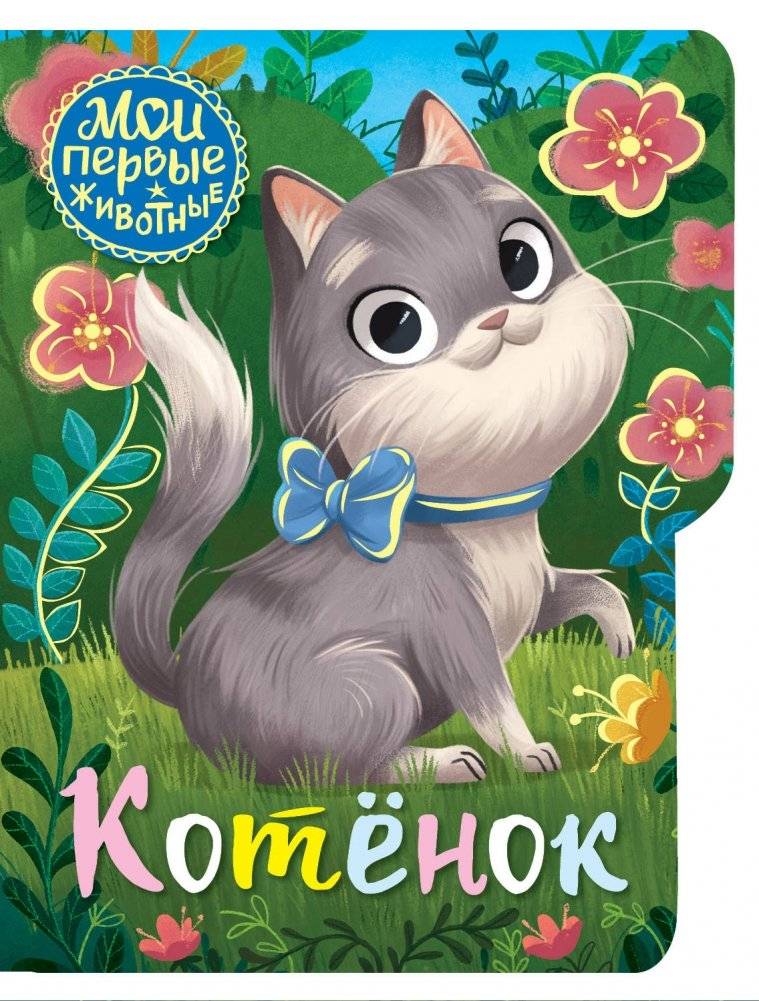 Котёнок | Kitten