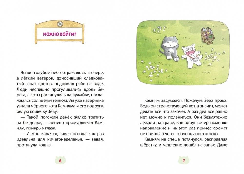 Кот идёт в поход фото книги 3