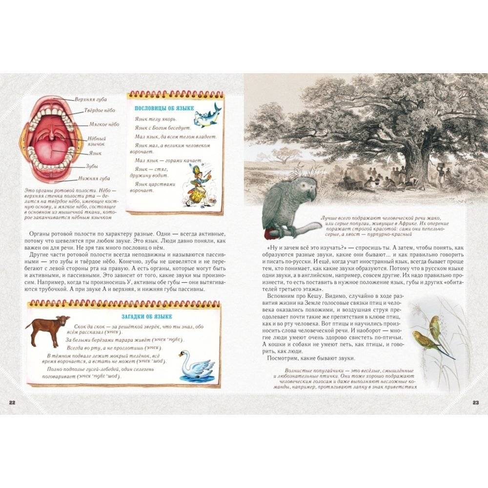 Занимательная фонетика фото книги 3