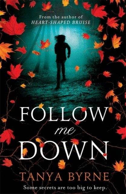 Следуй за мной вниз | Follow Me Down
