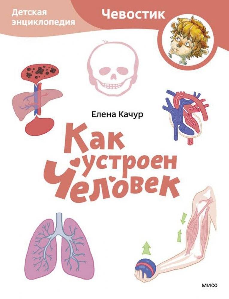 Как устроен человек. Детская энциклопедия | How the Human Body Works: A Children's Encyclopedia