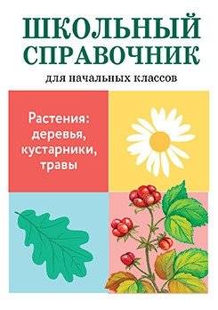 Растения: деревья, кустарники, травы | Plants: Trees, Shrubs, Herbs