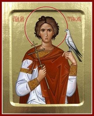 Икона мученика Трифона на дереве | Icon of Saint Tryphon on wood