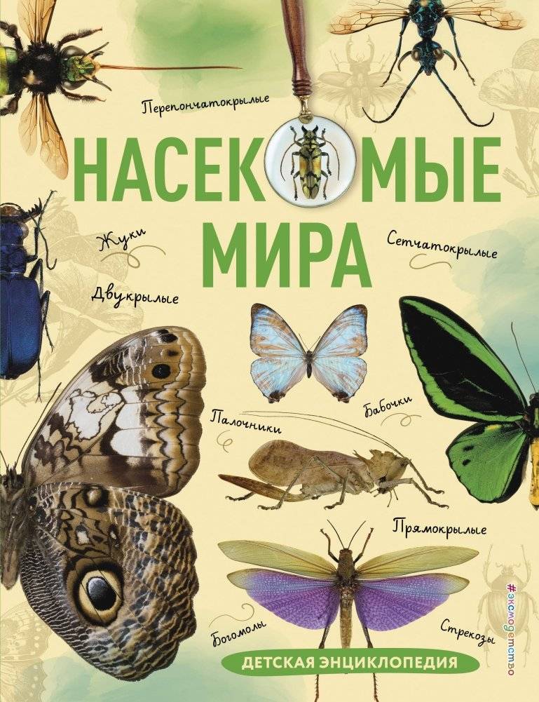 Насекомые мира. Детская энциклопедия