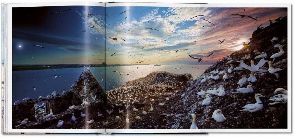 Stephen Wilkes. Day to Night фото книги 5