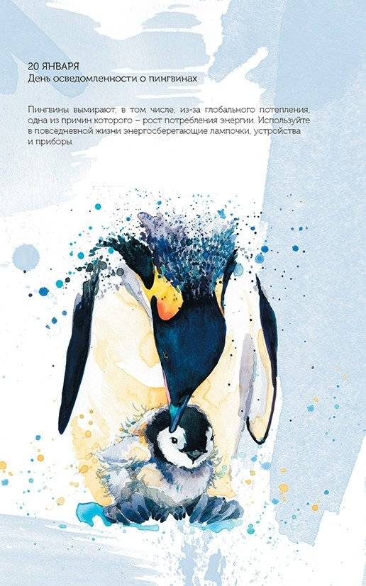 Спасем планету. Еженедельник для тех, кто заботится о природе (Ирбис) фото книги 7