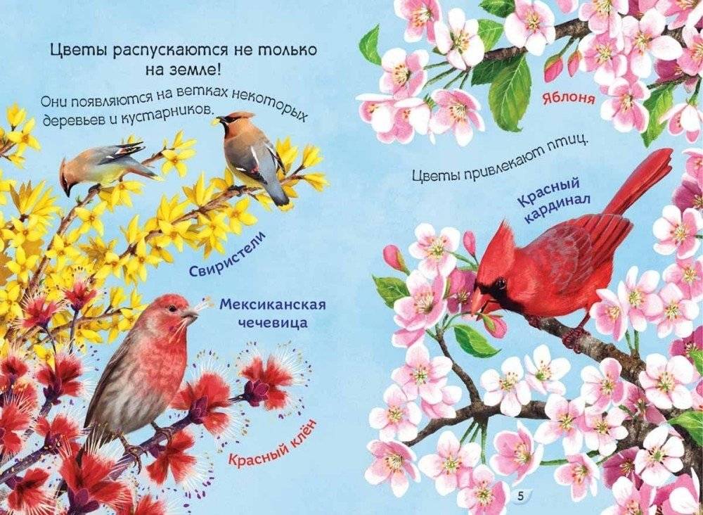 Круглый год фото книги 2