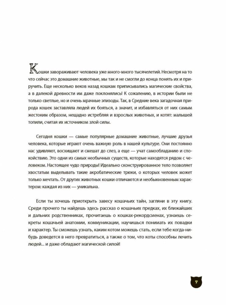 А вот и кот фото книги 5