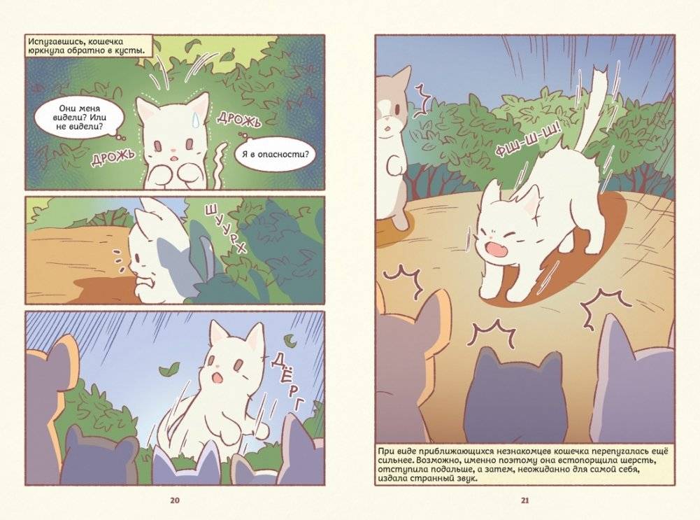 Кошки и суп. Деревня звёздных кошек. Том 1 фото книги 5