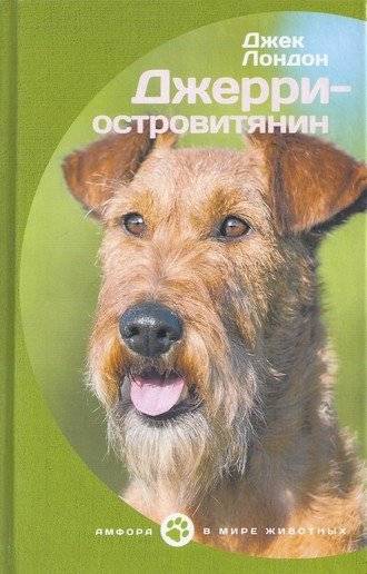 Джерри-островитянин | Jerry the Islander