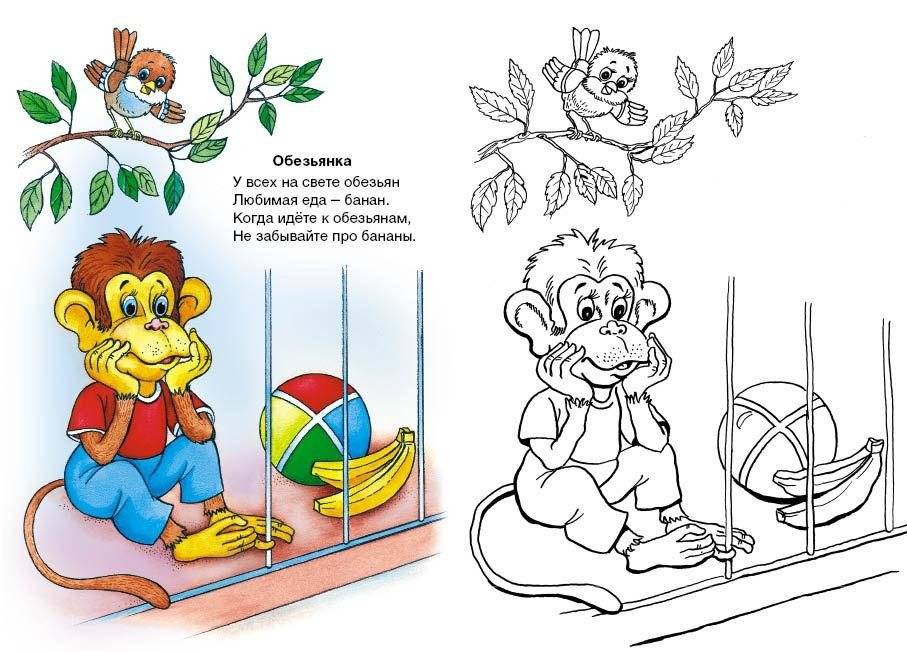 От носика до хвостика. Раскраска фото книги 2