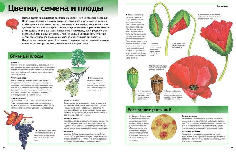 Новая энциклопедия школьника фото книги 2