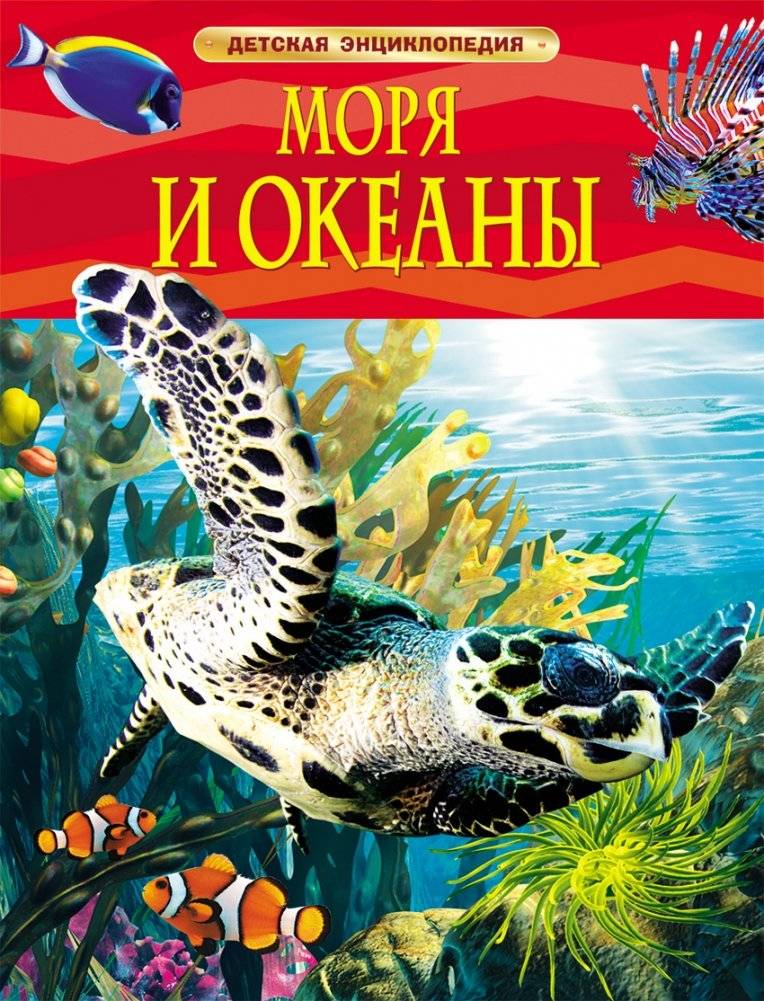 Моря и океаны. Детская энциклопедия | Seas and Oceans: Children's Encyclopedia