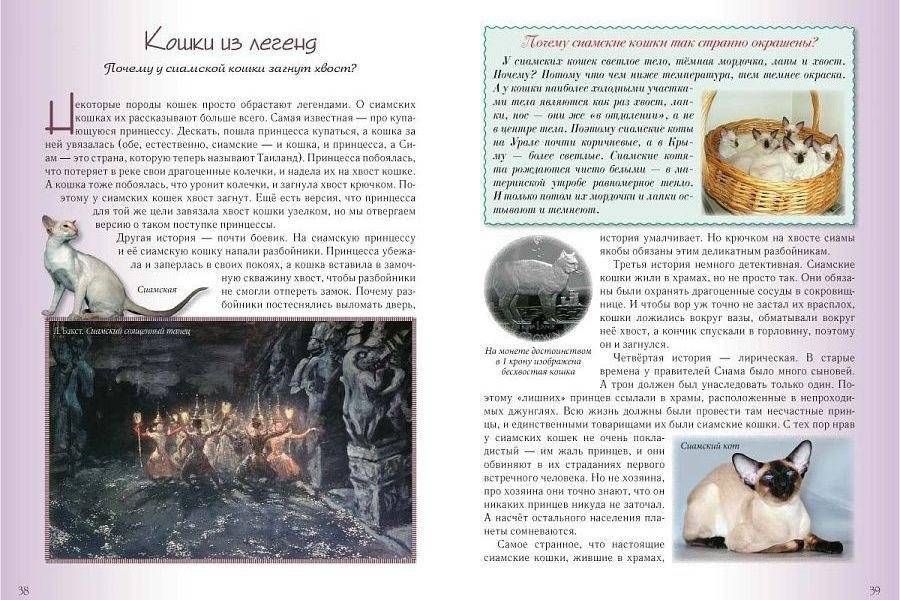 Кошки и собаки. Знакомые и неизвестные фото книги 6